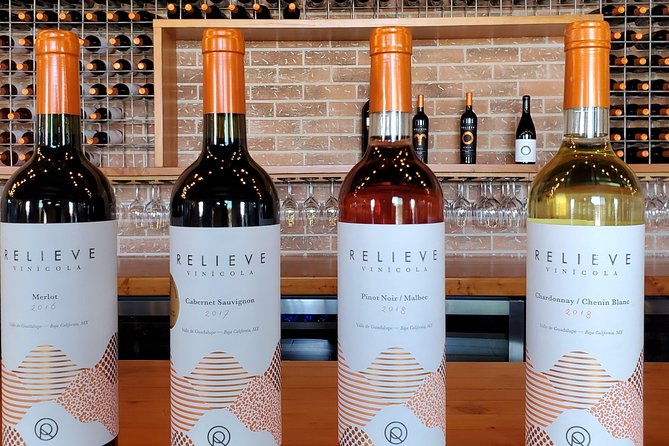 Valle de Guadalupe Wine Tour - Three wineries, three different conversations