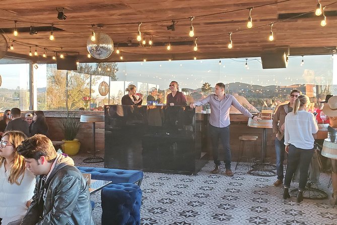 Valle de Guadalupe Wine Tour - Lunch in the vineyards: eating like you’re part of the region