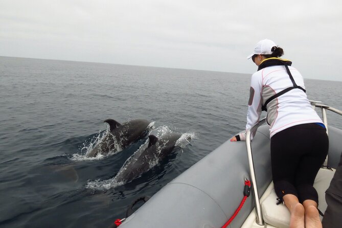 Whale and Dolphin Watching in San Diego - Captain Alysa and Captain Ray: why the small group matters