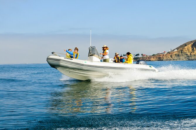 Whale and Dolphin Watching in San Diego - Safety gear that’s more than a checkbox
